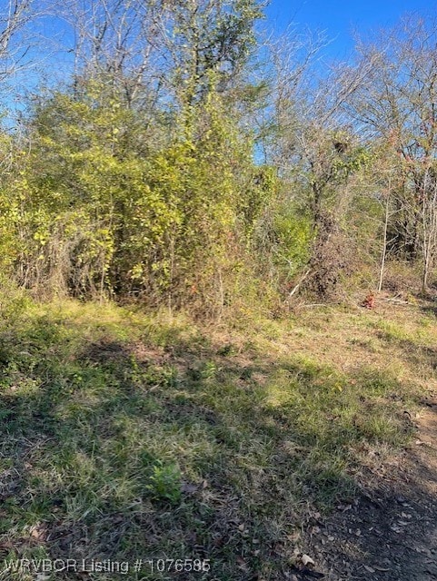 Listing photo 3 for TBD Goff Cir, Dyer AR 72921