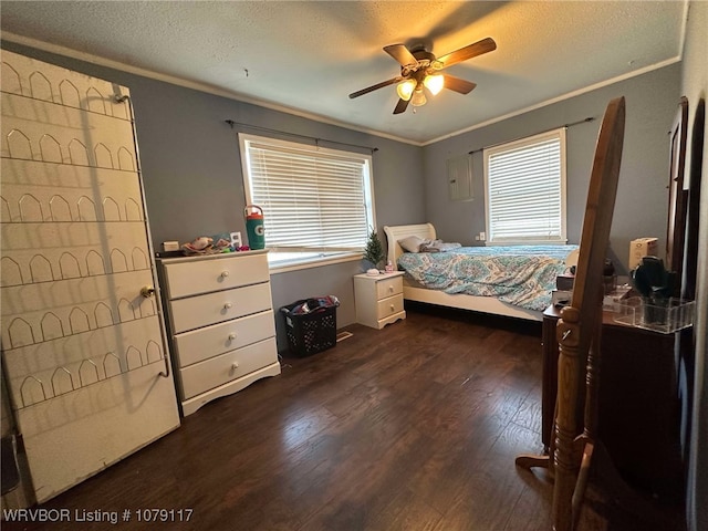 bedroom featuring a textured ceiling, multiple windows, ornamental molding, and dark wood-style flooring