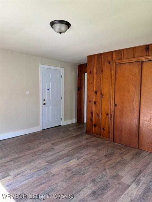 foyer entrance featuring dark wood-type flooring