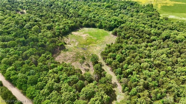 5565 Case Rd, Charleston, AR 72933 - photo 18