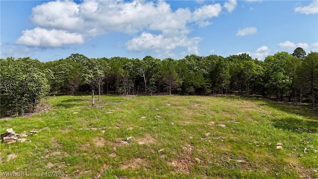5565 Case Rd, Charleston, AR 72933 - photo 2