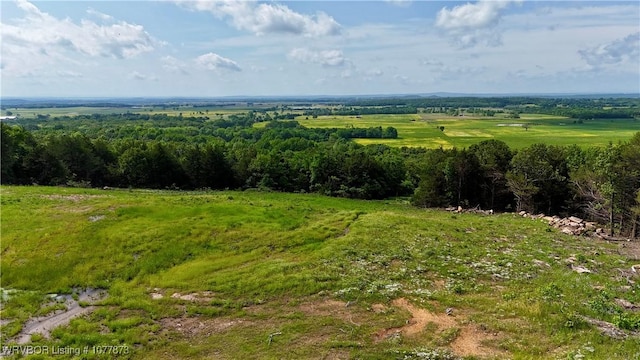 5565 Case Rd, Charleston, AR 72933 - photo 6
