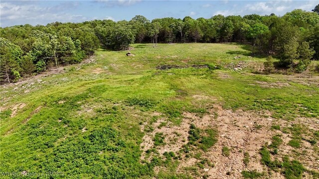 5565 Case Rd, Charleston, AR 72933 - photo 15