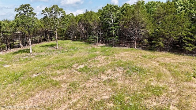 5565 Case Rd, Charleston, AR 72933 - photo 11