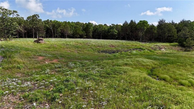 5565 Case Rd, Charleston, AR 72933 - photo 12
