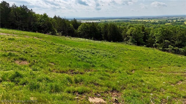 5565 Case Rd, Charleston, AR 72933 - photo 13