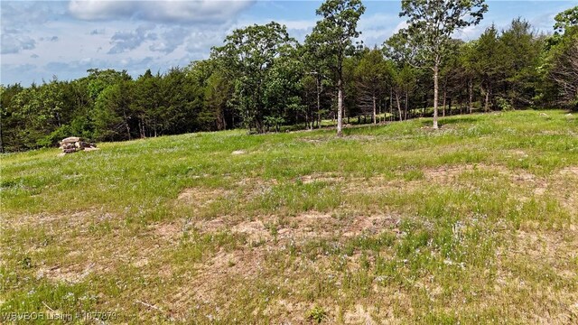 5565 Case Rd, Charleston, AR 72933 - photo 9