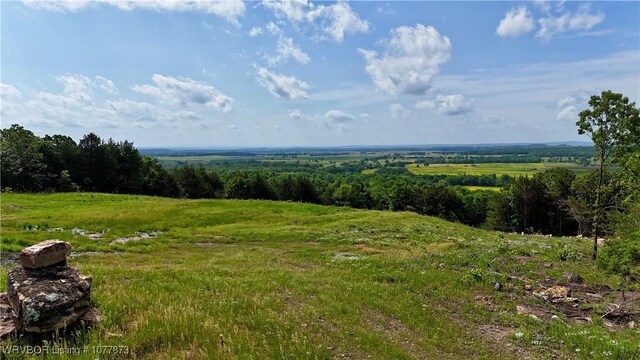 5565 Case Rd, Charleston, AR 72933 - photo 3