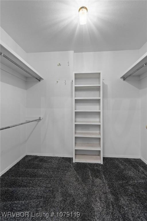 10408 Tweed Ln, Fort Smith, AR 72908 - walk in closet featuring carpet floors