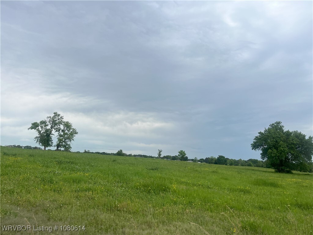 TBD Raleigh, Lavaca, AR 72941