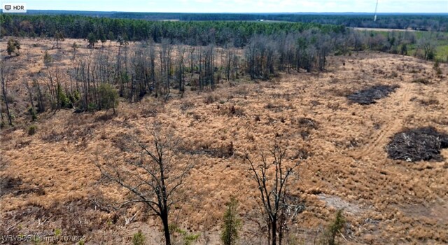 60 Dallas 307, Arkadelphia, AR 71923 - photo 3