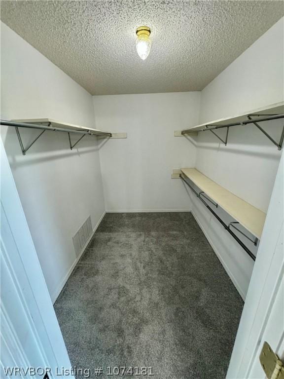 spacious closet featuring dark colored carpet