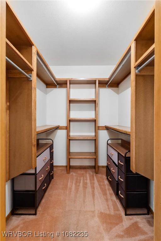 3017 Canongate Way, Fort Smith, AR 72908 - walk in closet with light colored carpet