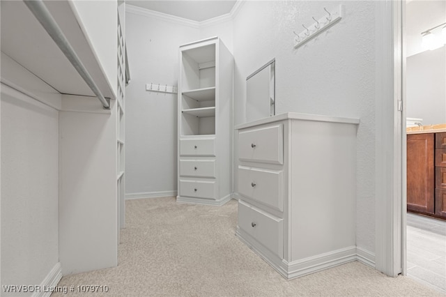 walk in closet featuring light colored carpet