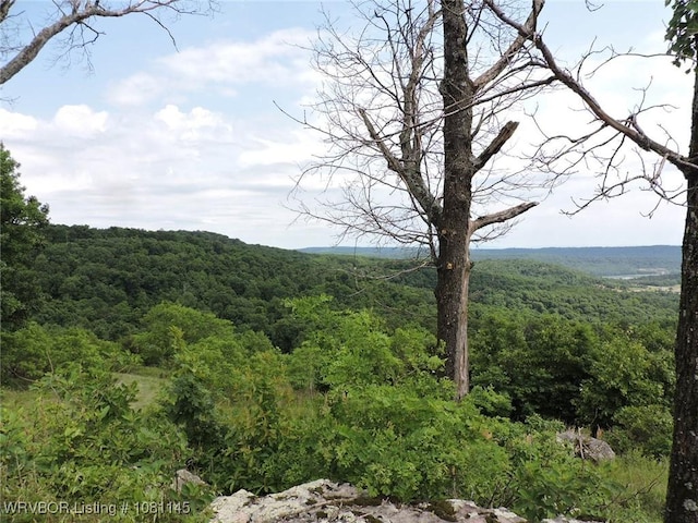 19108 Canova Trl, Mountainburg, AR 72946 - view of mountain backdrop with a forest