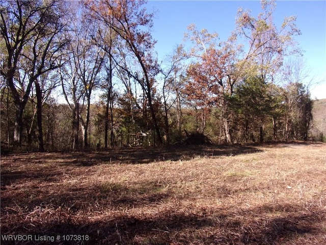 Listing photo 3 for 13918 Cat Holler Rd, Ozark AR 72949