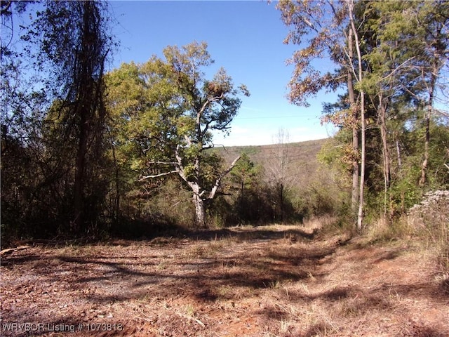 Listing photo 2 for 13918 Cat Holler Rd, Ozark AR 72949