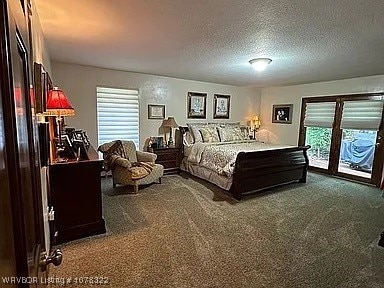 carpeted bedroom with access to exterior and a textured ceiling