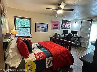 bedroom with hardwood / wood-style floors, a barn door, multiple windows, and ceiling fan