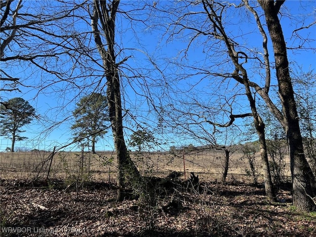 Listing photo 3 for 3ACRES Rollin Hills Ln, Ozark AR 72949