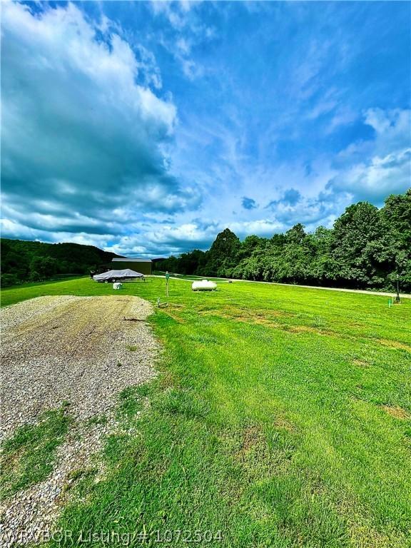 12 Plane Tree Ln, Mountain Home, AR 72635