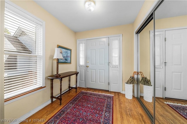 foyer entrance featuring hardwood / wood-style flooring