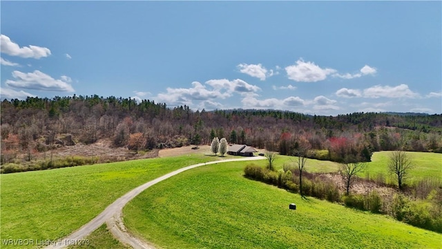 195 Polk 492, Cove, AR 71937 - view of green lawn featuring a wooded view and a view of countryside