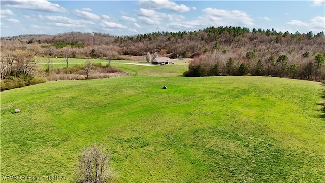 195 Polk 492, Cove, AR 71937 - view of yard featuring a view of countryside