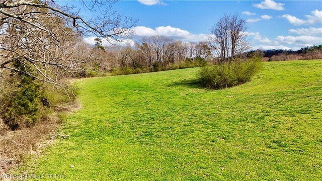 195 Polk 492, Cove, AR 71937 - view of grassy yard