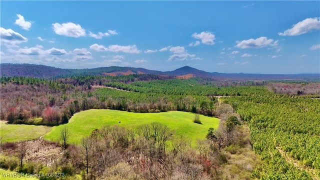 195 Polk 492, Cove, AR 71937 - mountain view with a forest