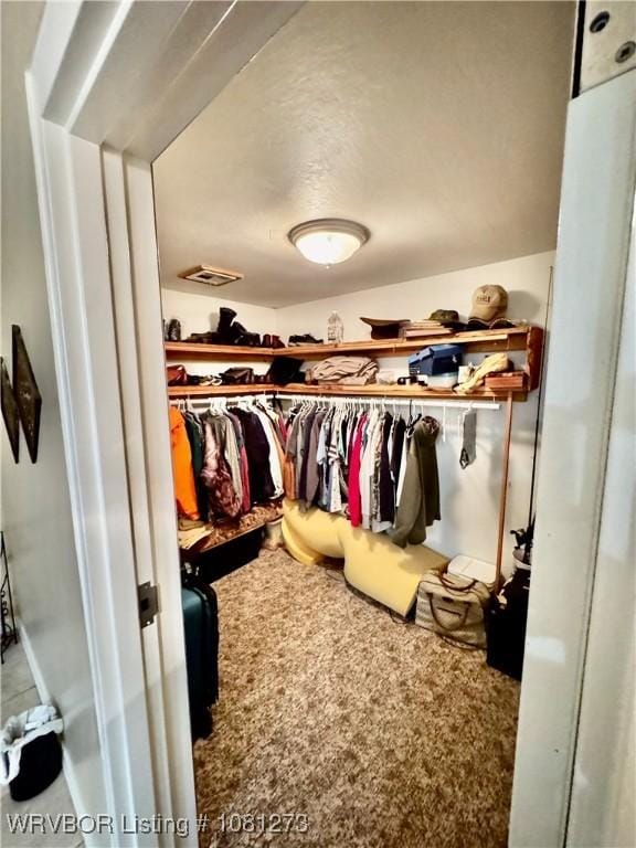 195 Polk 492, Cove, AR 71937 - walk in closet featuring carpet flooring