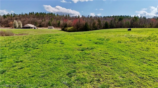 195 Polk 492, Cove, AR 71937 - view of green lawn with a rural view and a view of trees
