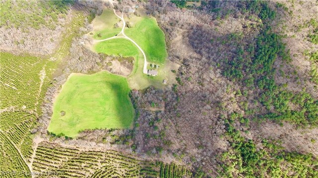 195 Polk 492, Cove, AR 71937 - view of property location