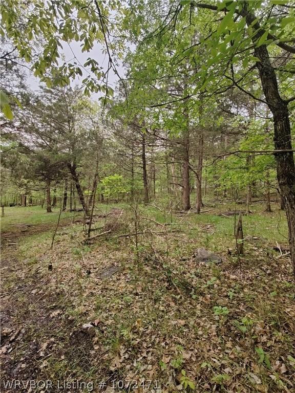 56 Eagle Dr, Eureka Springs, AR 72631 - photo 18