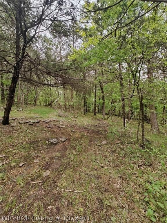 56 Eagle Dr, Eureka Springs, AR 72631 - photo 17