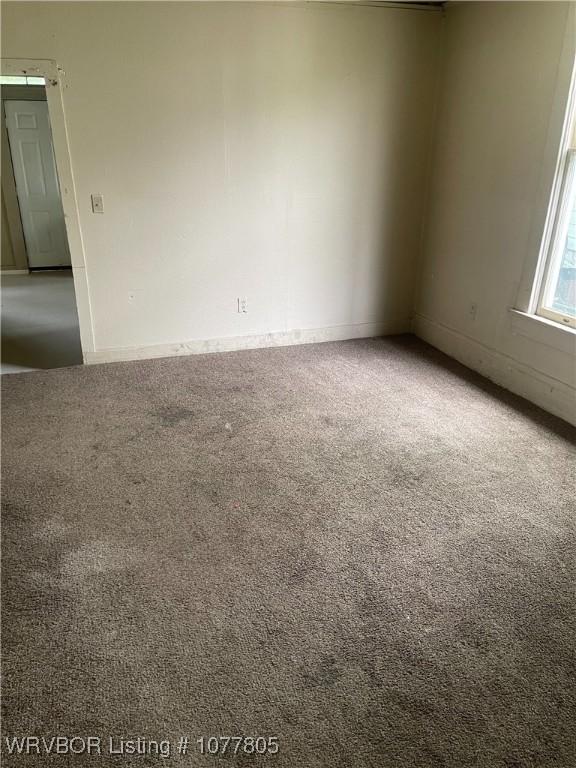 spare room featuring carpet flooring