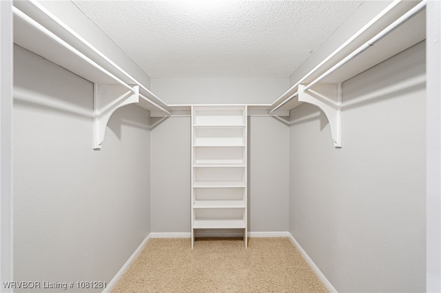 8901 Royal Ridge Dr, Fort Smith, AR 72903 - view of walk in closet