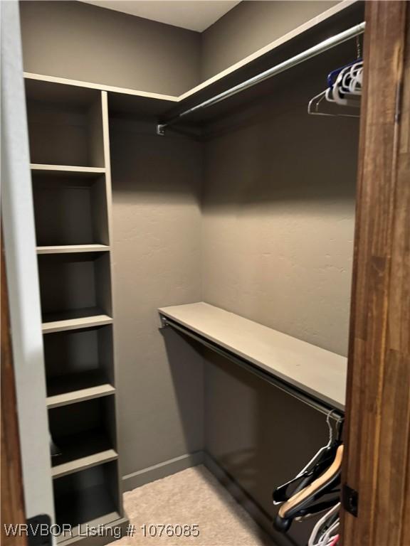 185 Susie Ln, Mena, AR 71953 - view of spacious closet