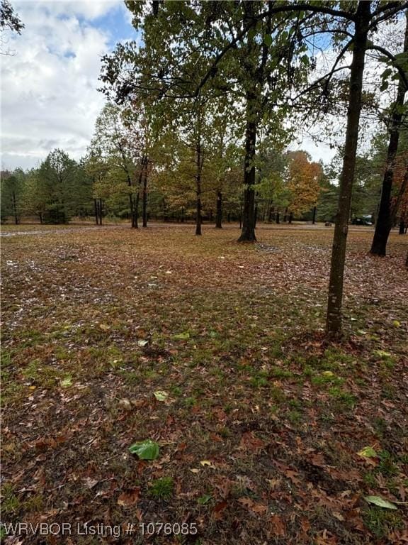 185 Susie Ln, Mena, AR 71953 - view of local wilderness