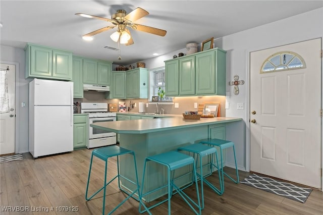 255 Spielerville Rd, Paris, AR 72855 - kitchen with under cabinet range hood, white appliances, light wood-style floors, green cabinets, and a peninsula