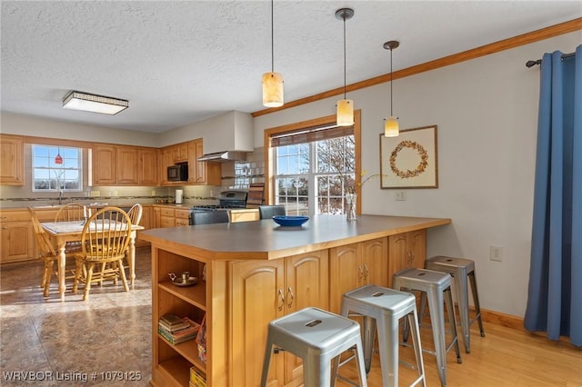 kitchen featuring open shelves, a wealth of natural light, light countertops, and stainless steel range with gas stovetop