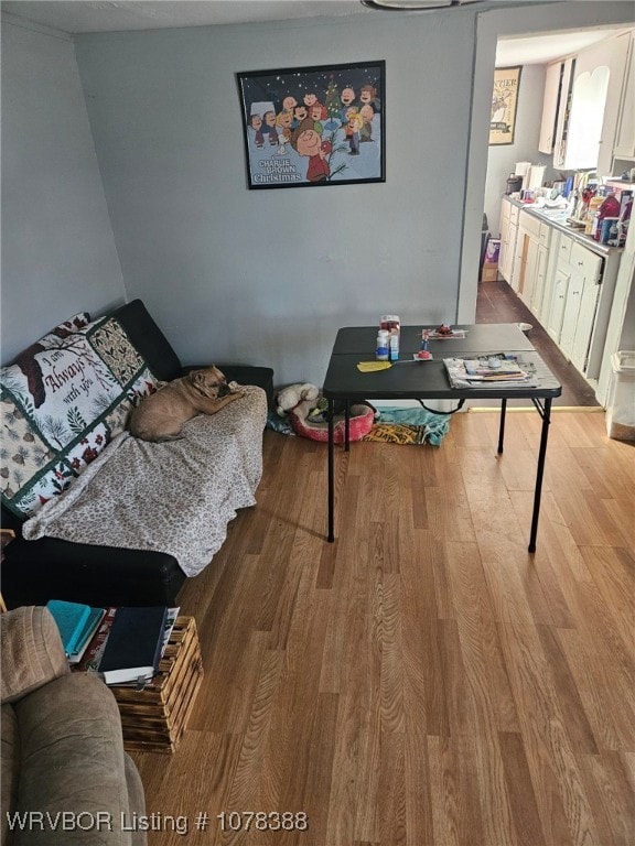 living room with wood-type flooring