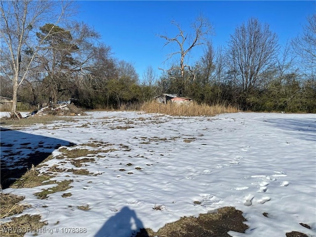 view of snowy yard