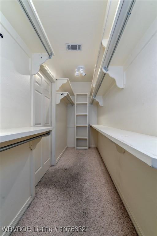 view of walk in closet