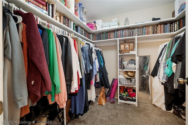 walk in closet featuring carpet floors