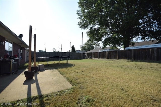 view of yard featuring a patio area and a trampoline