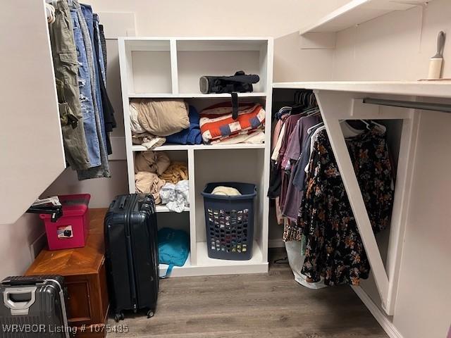 spacious closet with hardwood / wood-style flooring