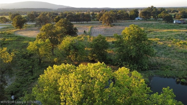 bird's eye view with a water and mountain view and a rural view