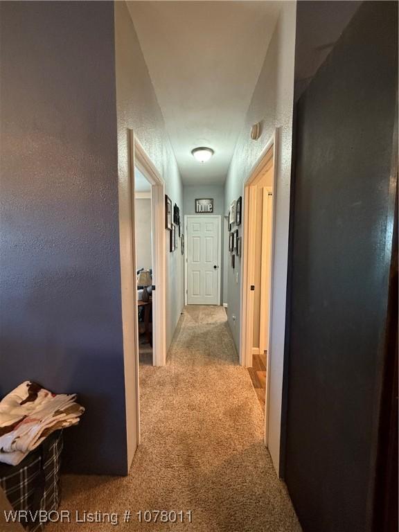 hallway featuring carpet flooring