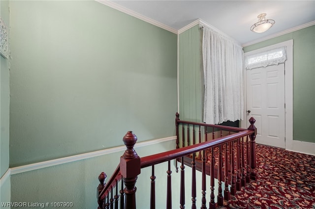 stairway featuring carpet and crown molding